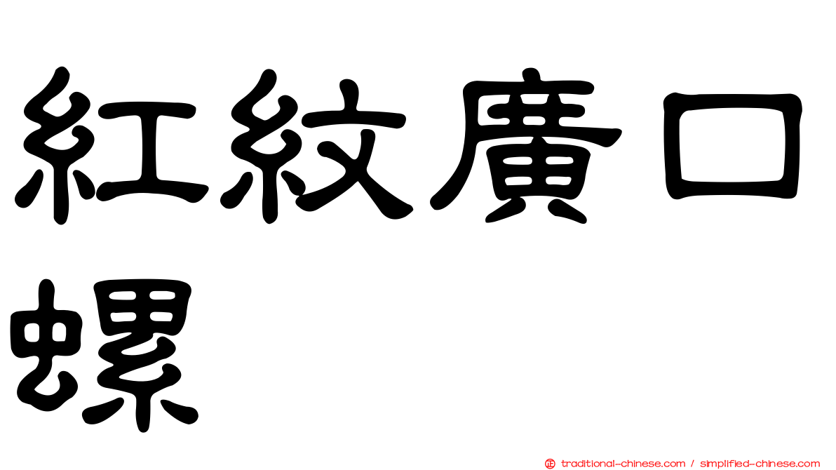 紅紋廣口螺
