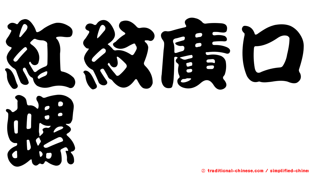 紅紋廣口螺