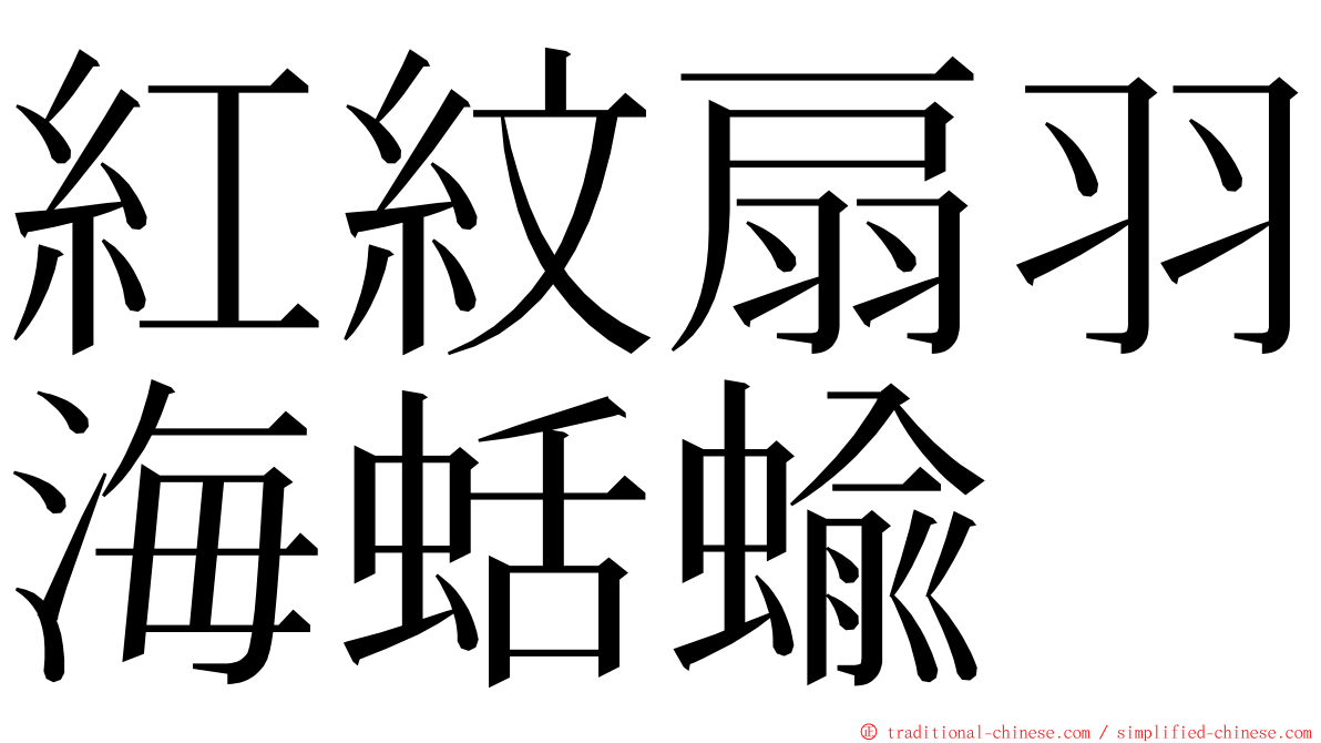 紅紋扇羽海蛞蝓 ming font