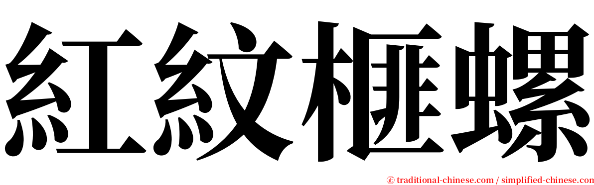 紅紋榧螺 serif font