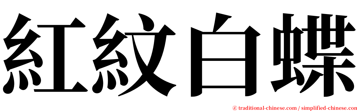 紅紋白蝶 serif font