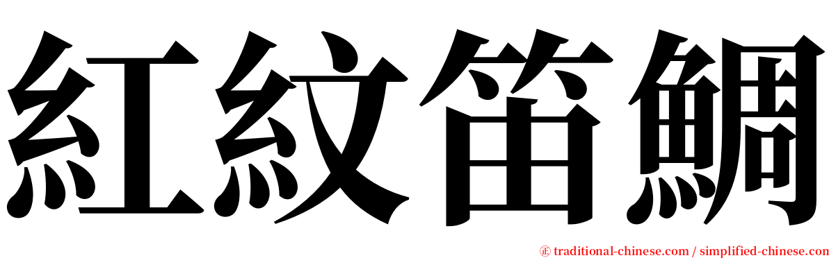 紅紋笛鯛 serif font