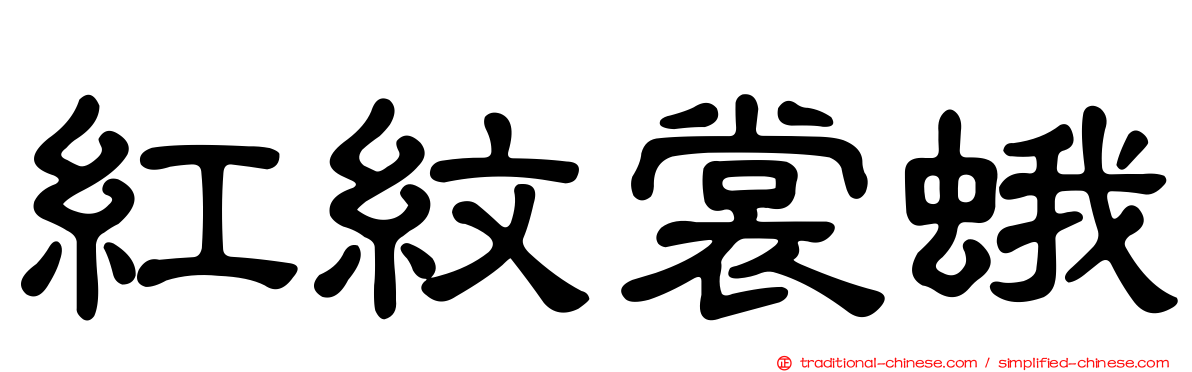 紅紋裳蛾