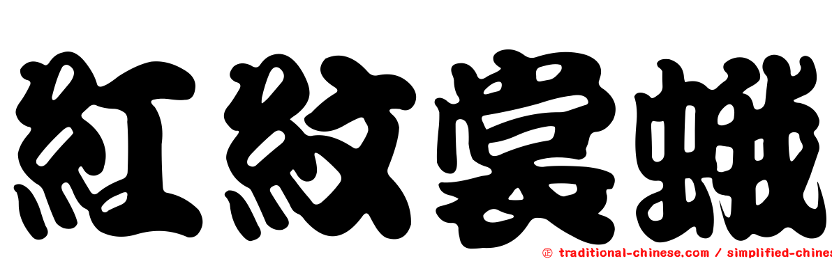 紅紋裳蛾
