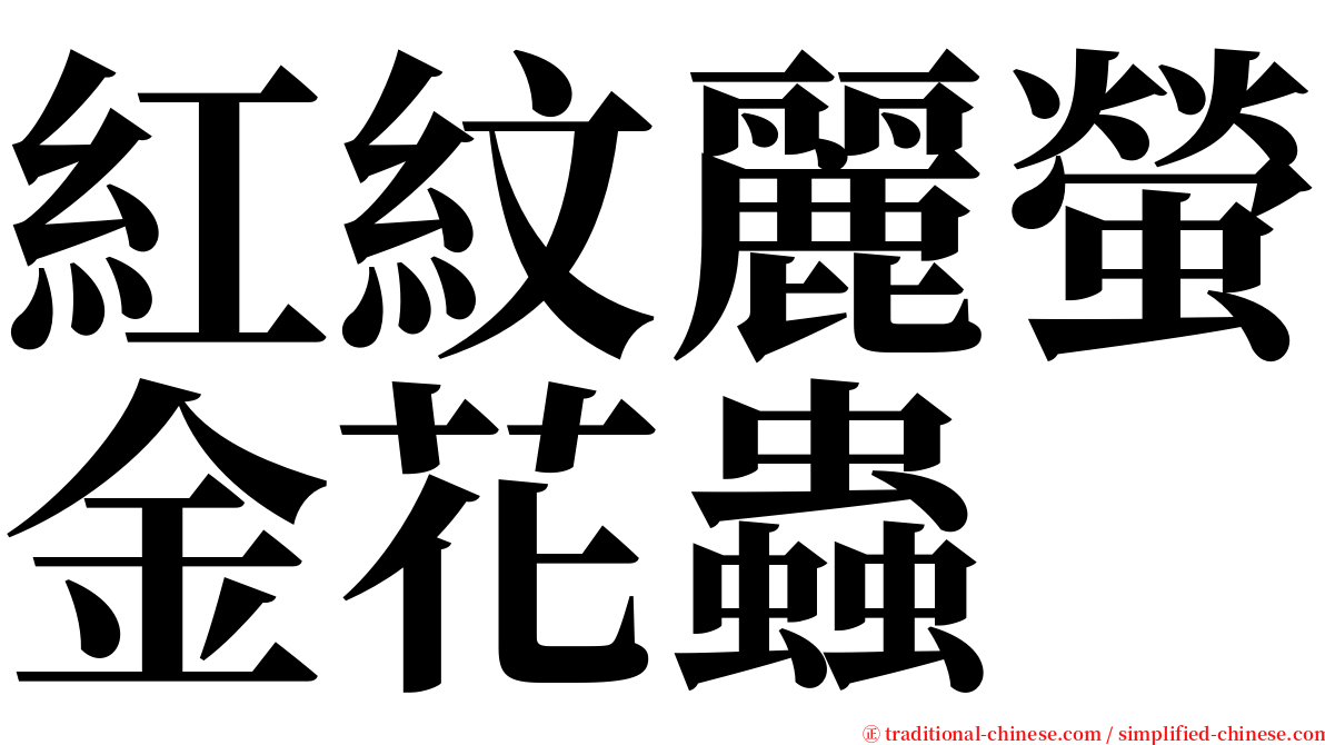 紅紋麗螢金花蟲 serif font