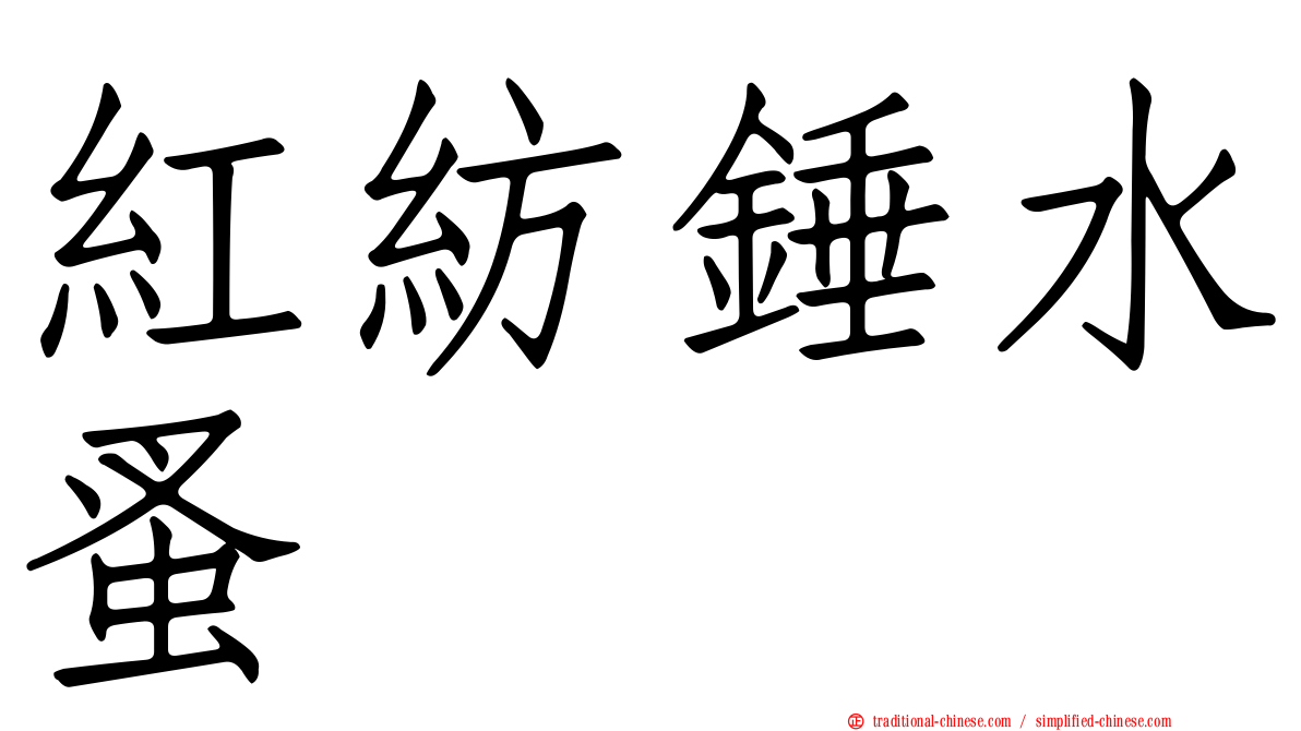 紅紡錘水蚤