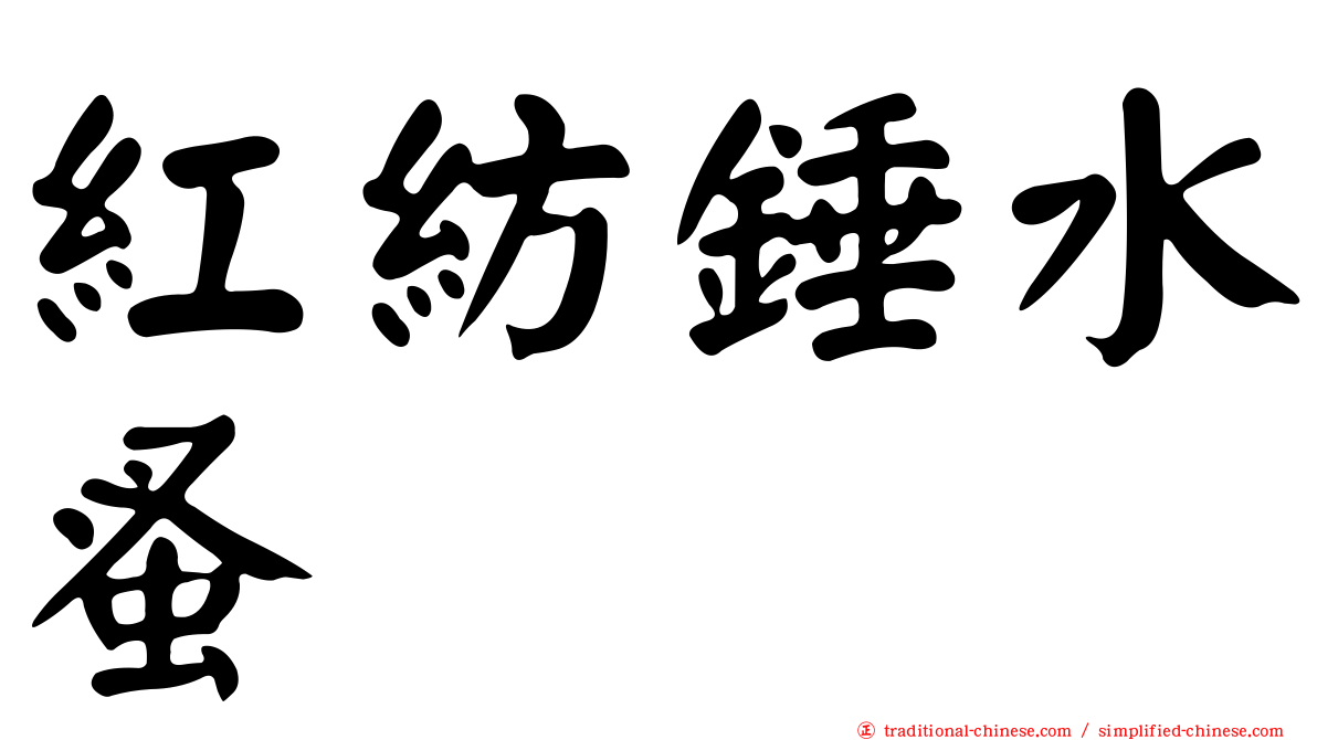 紅紡錘水蚤