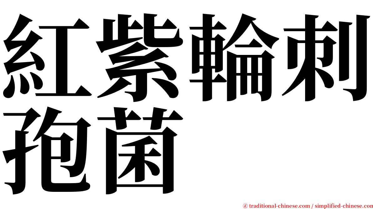 紅紫輪刺孢菌 serif font