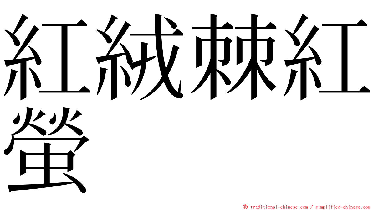 紅絨棘紅螢 ming font