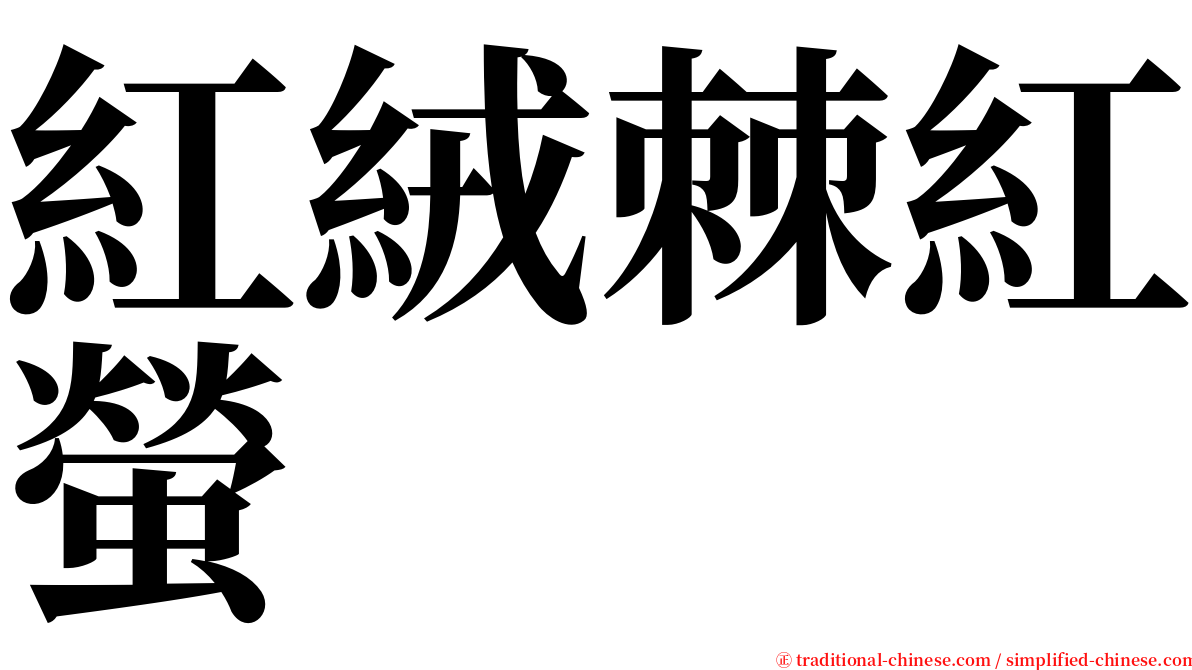 紅絨棘紅螢 serif font