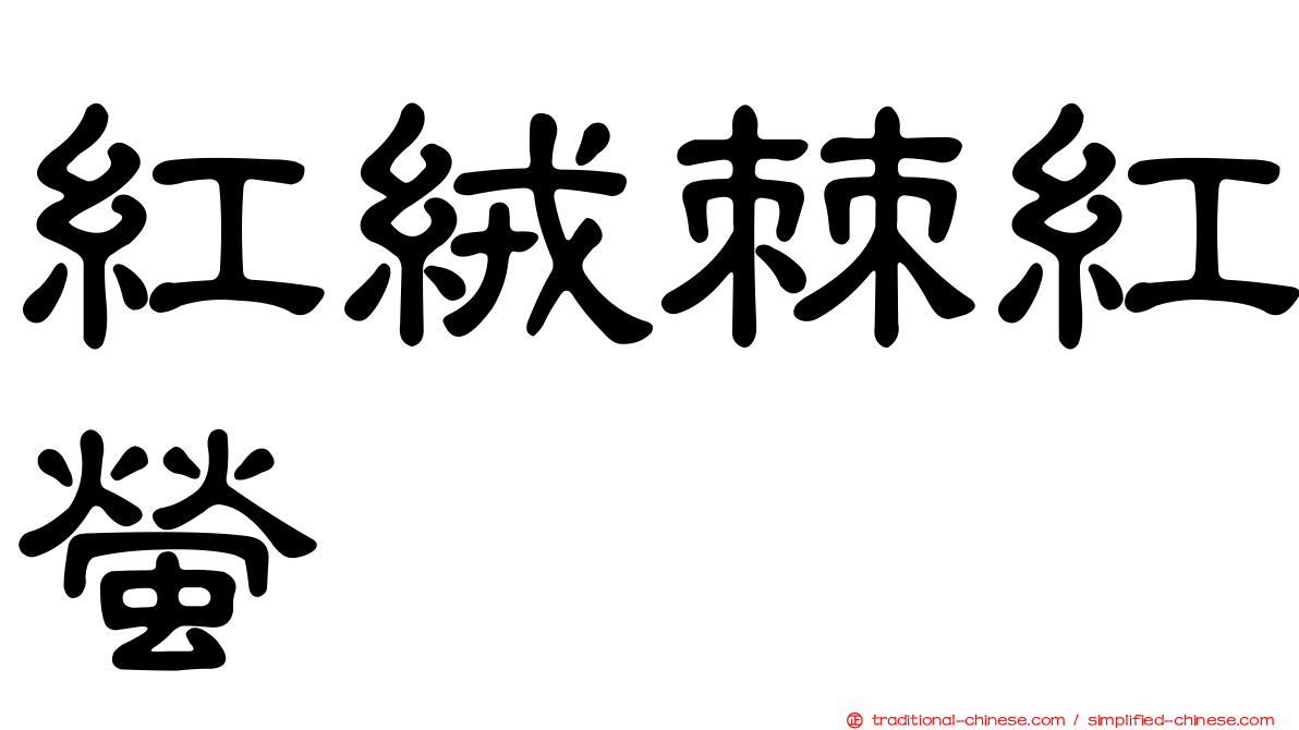 紅絨棘紅螢