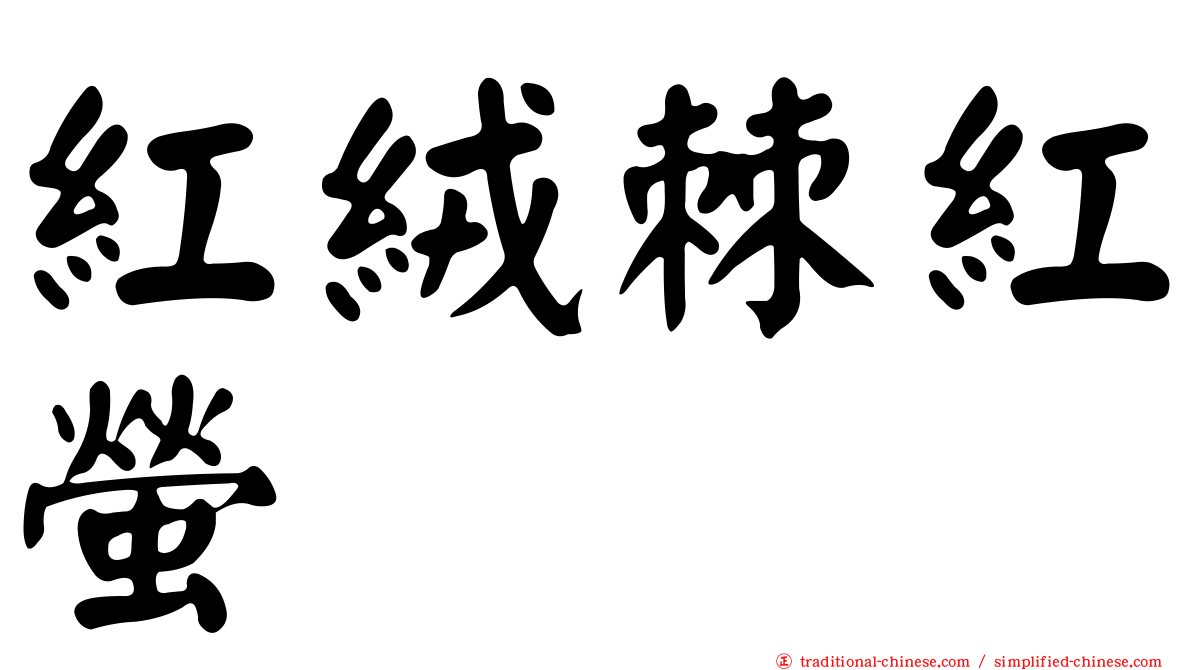 紅絨棘紅螢