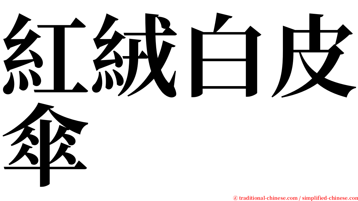 紅絨白皮傘 serif font