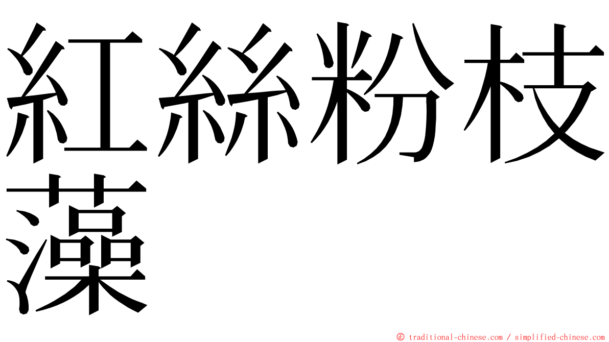紅絲粉枝藻 ming font
