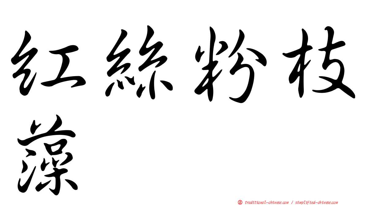 紅絲粉枝藻