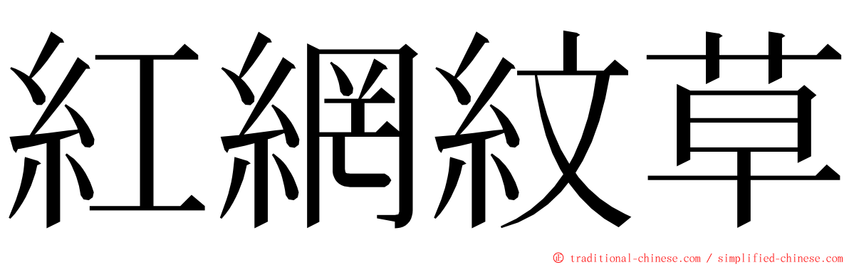 紅網紋草 ming font