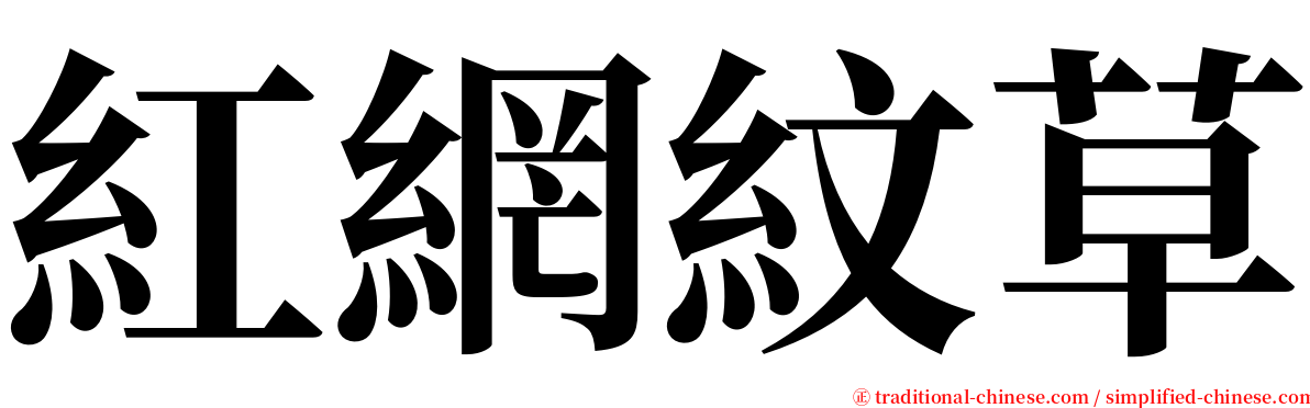 紅網紋草 serif font