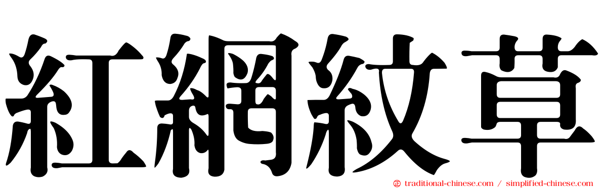 紅網紋草