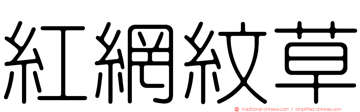 紅網紋草