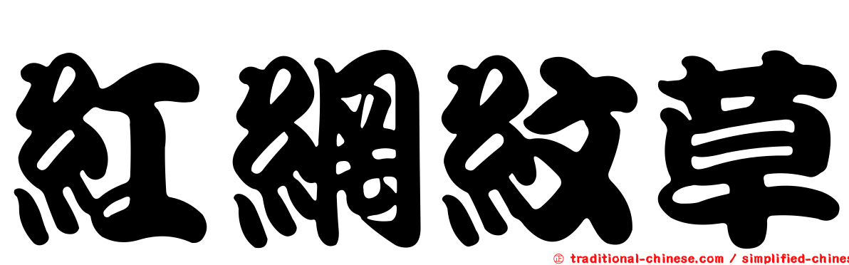 紅網紋草