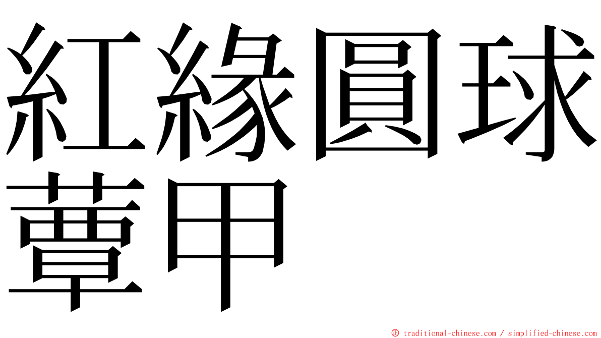 紅緣圓球蕈甲 ming font