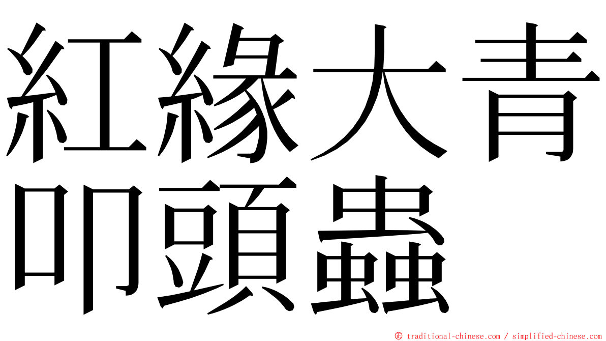 紅緣大青叩頭蟲 ming font