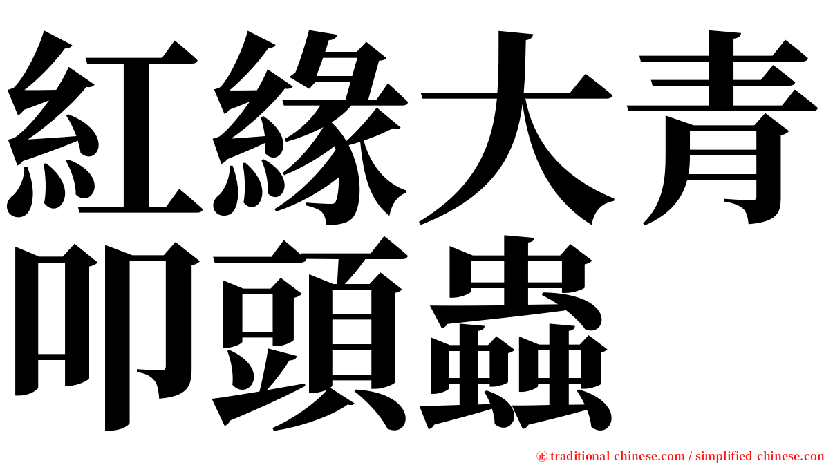 紅緣大青叩頭蟲 serif font