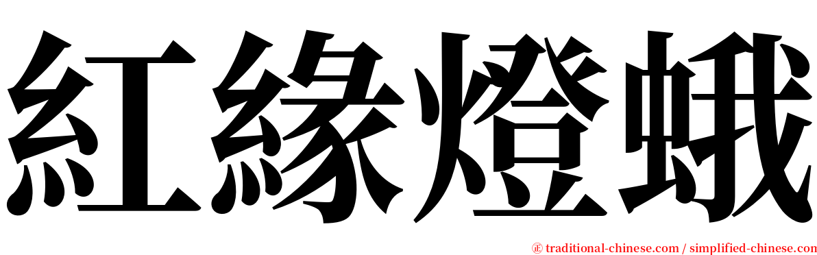 紅緣燈蛾 serif font