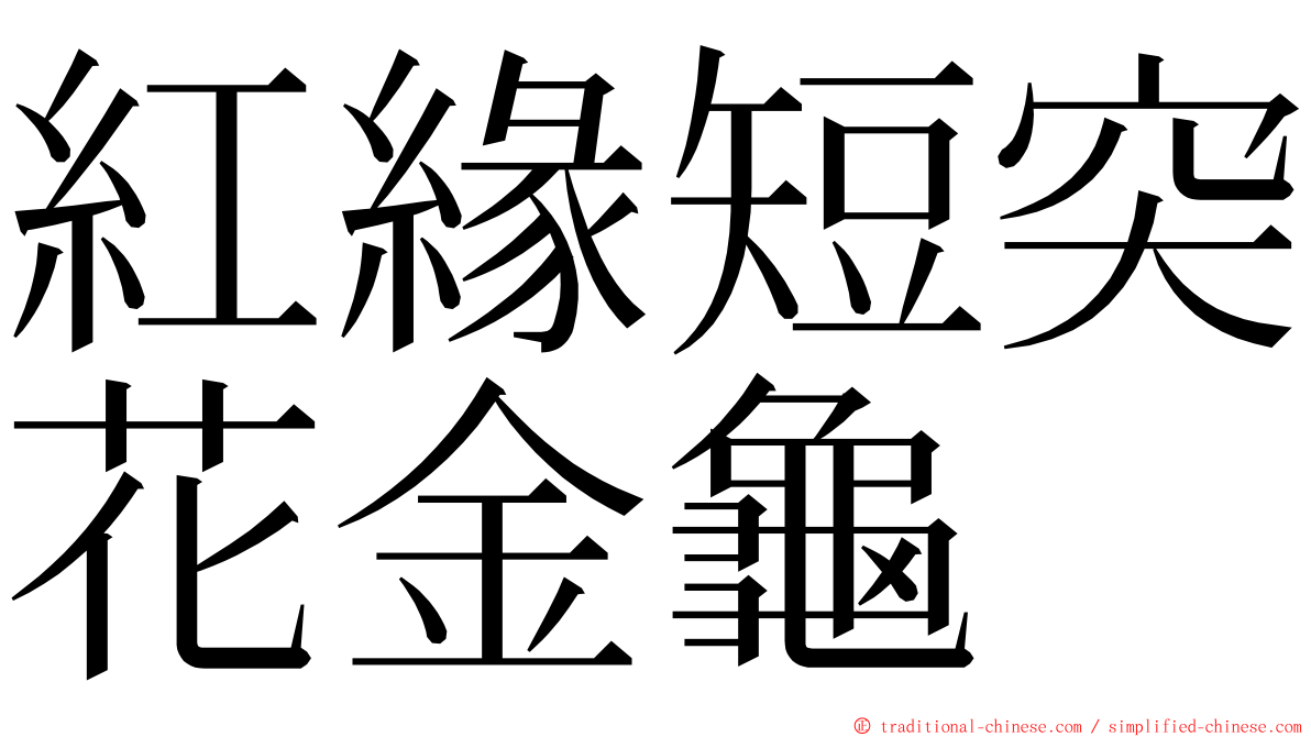 紅緣短突花金龜 ming font