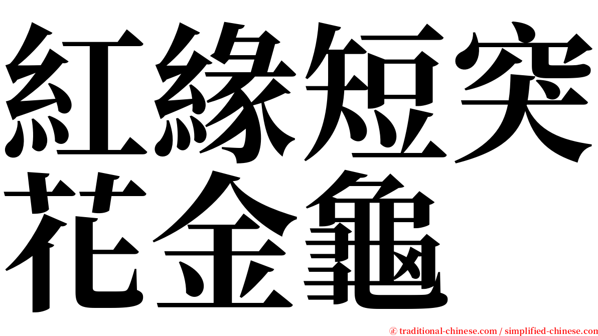 紅緣短突花金龜 serif font