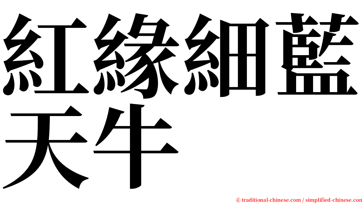 紅緣細藍天牛 serif font