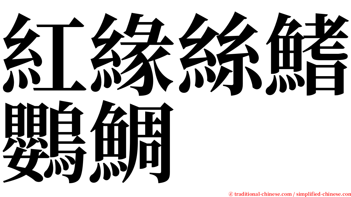 紅緣絲鰭鸚鯛 serif font