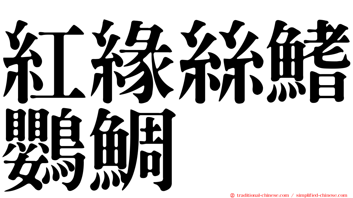 紅緣絲鰭鸚鯛