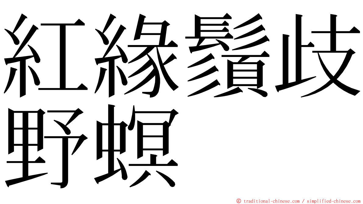 紅緣鬚歧野螟 ming font