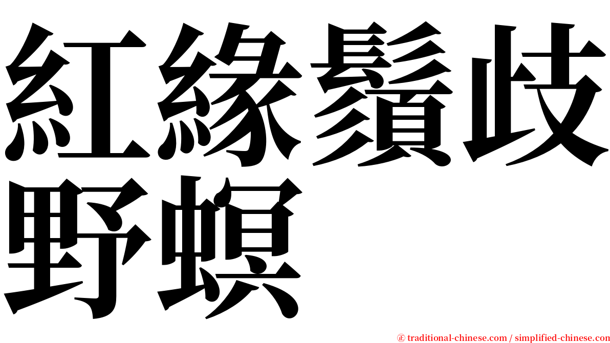 紅緣鬚歧野螟 serif font