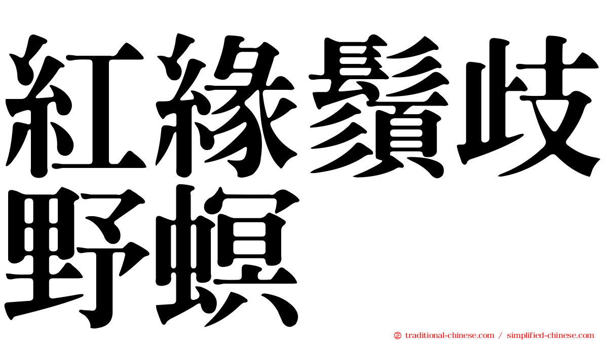 紅緣鬚歧野螟