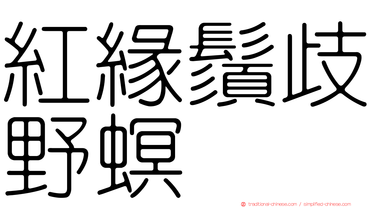 紅緣鬚歧野螟