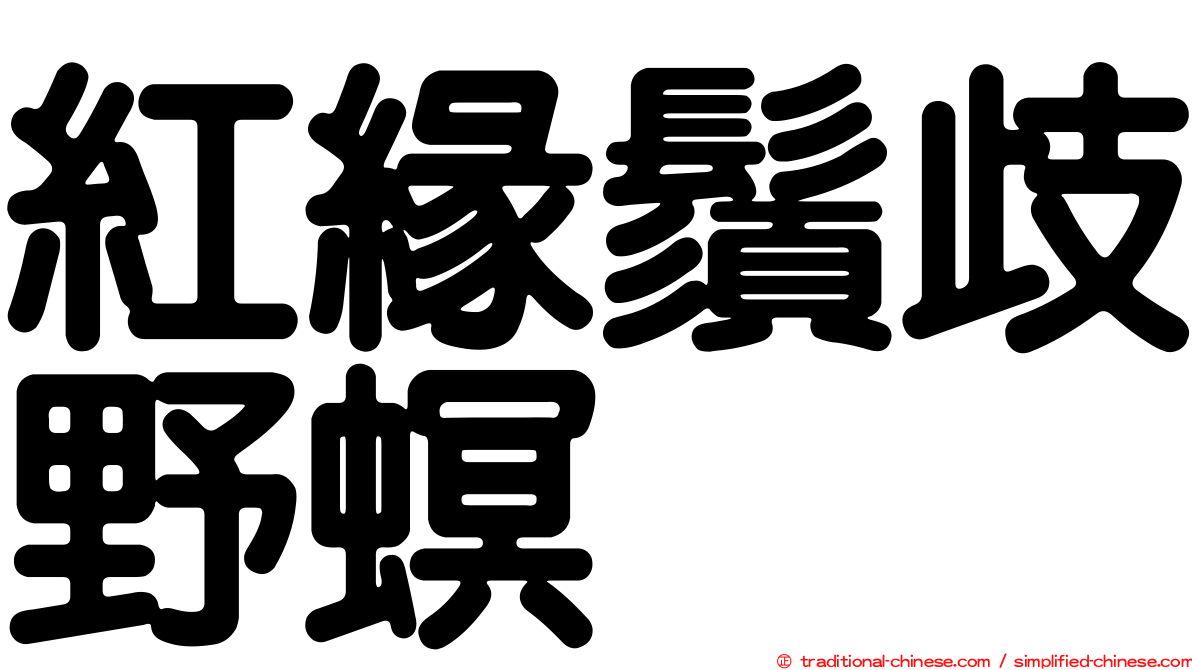 紅緣鬚歧野螟