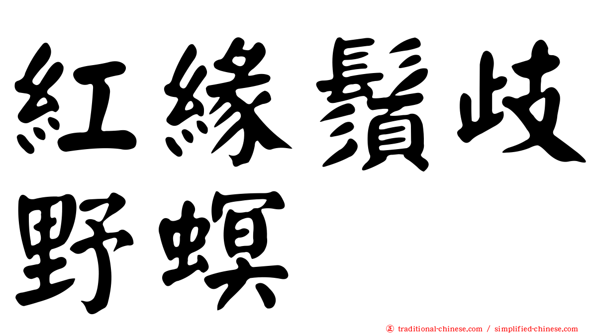 紅緣鬚歧野螟