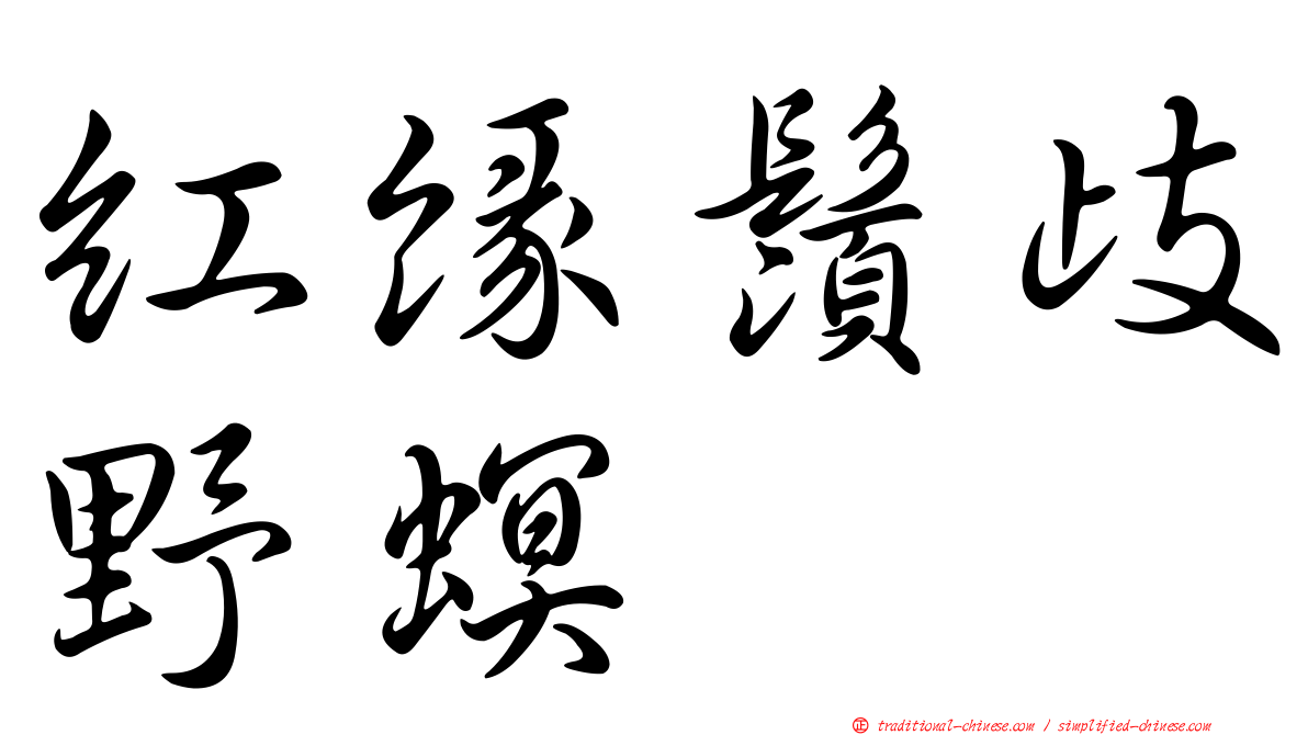 紅緣鬚歧野螟