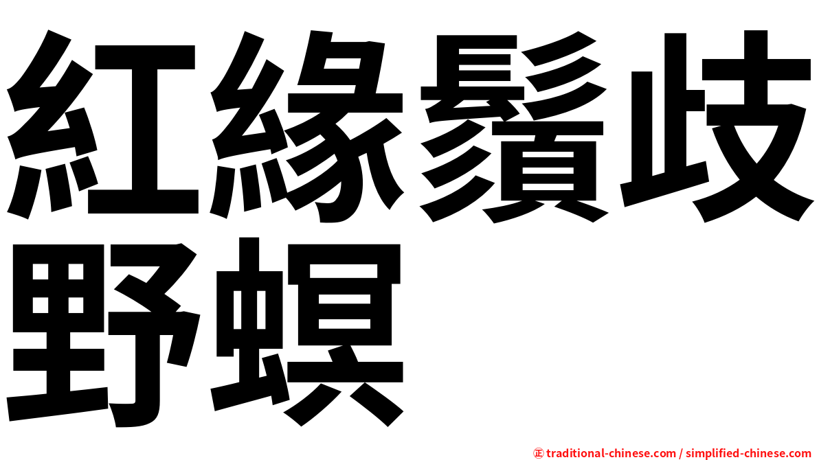 紅緣鬚歧野螟