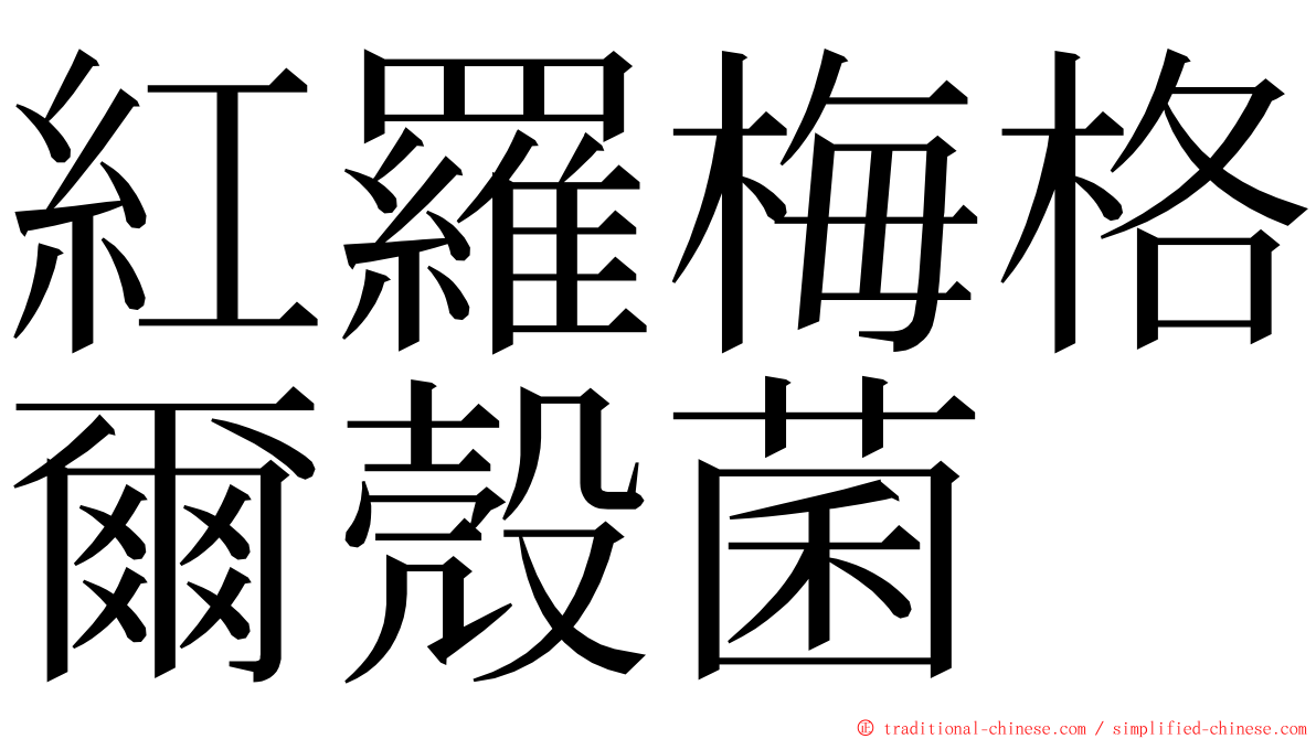 紅羅梅格爾殼菌 ming font