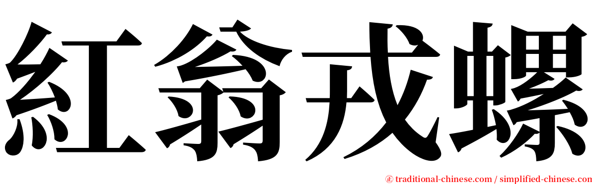 紅翁戎螺 serif font