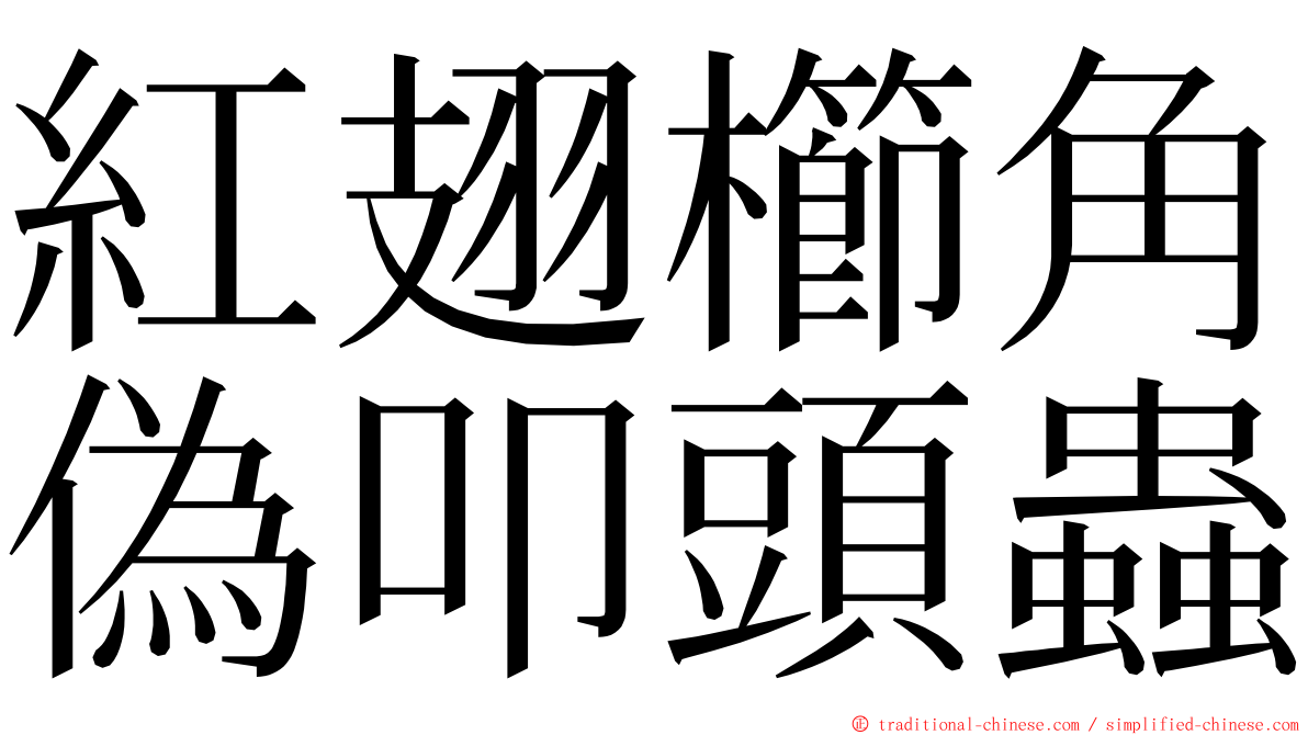 紅翅櫛角偽叩頭蟲 ming font