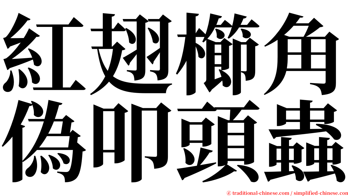 紅翅櫛角偽叩頭蟲 serif font