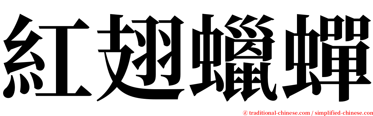 紅翅蠟蟬 serif font