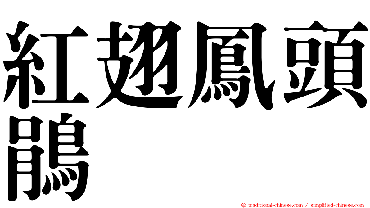 紅翅鳳頭鵑