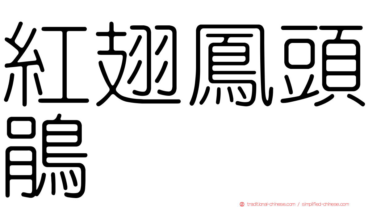 紅翅鳳頭鵑