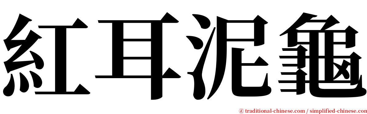 紅耳泥龜 serif font