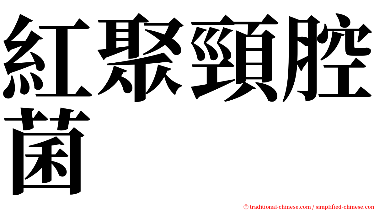 紅聚頸腔菌 serif font